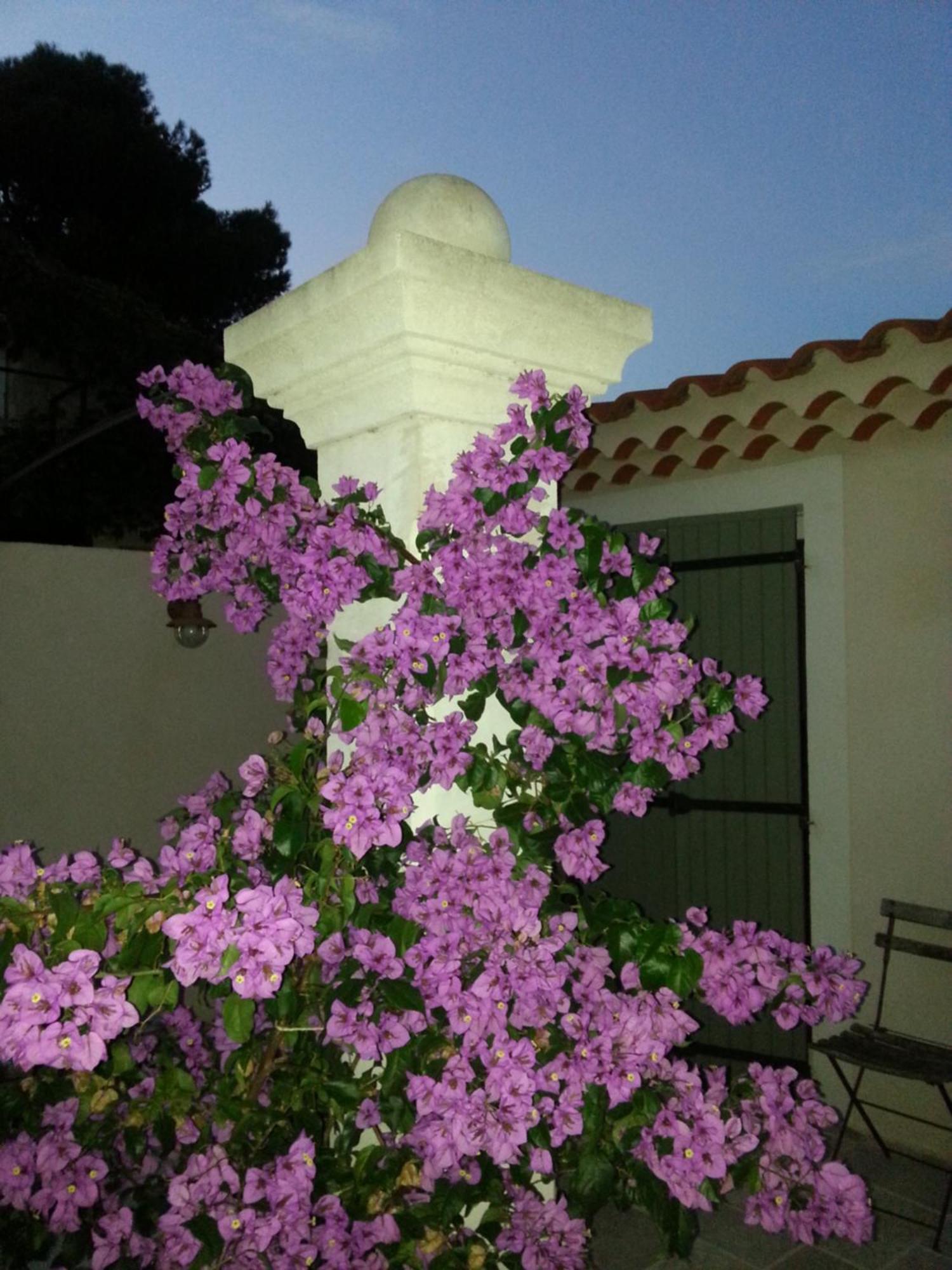 Gite Le Felibre Châteauneuf-lès-Martigues 部屋 写真